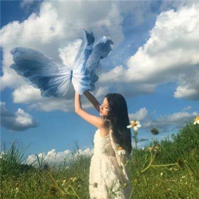 西野的恋爱与冒险