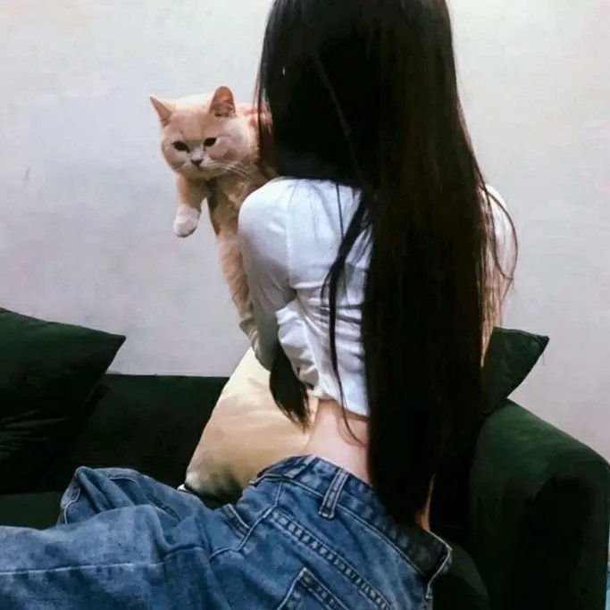 不是血亲